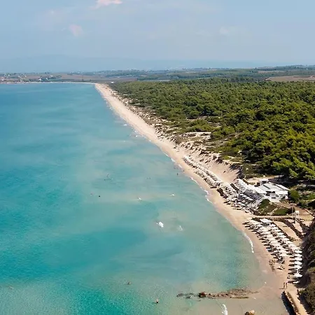 Apartment House In Sani,very Close To The And Marina *