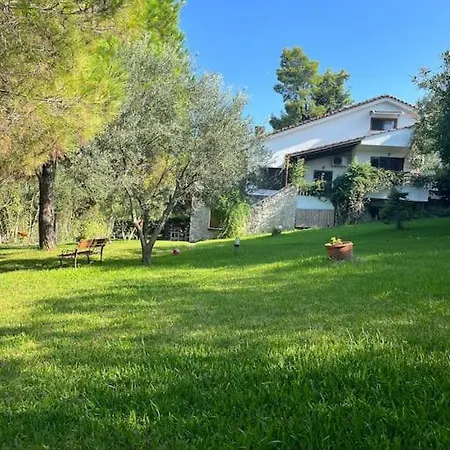 Apartament House In Sani,very Close To The And Marina *