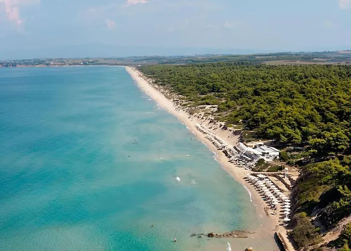 Daire House In Sani,very Close To The And Marina *